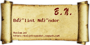 Bálint Nándor névjegykártya